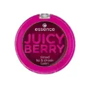 Essence  Juicy Berry tinted lip & cheek balm